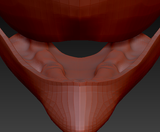 Large Sergal Palate