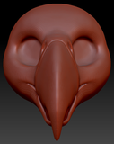Gender Neutral Macaw Parrot Static Jaw Head Base