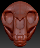Equine Skull