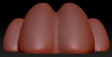 9.5" Wide 4-Toe Slim Large Foam Paw Set