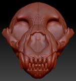 Hyena Skull