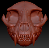 Small Feline Skull