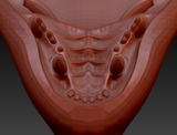 Medium Omnivore Realistic Style Jawset