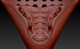 Medium Skunk Realistic Style Jawset