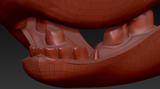 Small Horse Realistic Jawset Style 2