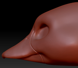Gender Neutral Duck Head Base Variant 1