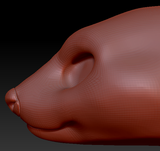 Feminine Skunk Head Base