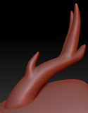 X-Large Horn Set 11
