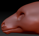 Feminine Horse Head Base Variant 2