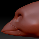 Gender Neutral Sparrow Head Base