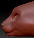 Gender Neutral Oriental Shorthair Cat Head Base