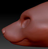 Feminine Black Bear Head Base