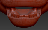 Large Horse Jawset Realistic Style 1