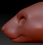 Gender Neutral Squirrel Head Base