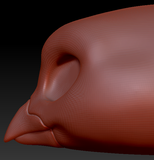 Western Kemono Blue Jay Head Base