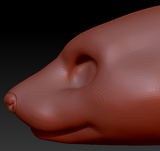 Gender Neutral Ferret Head Base