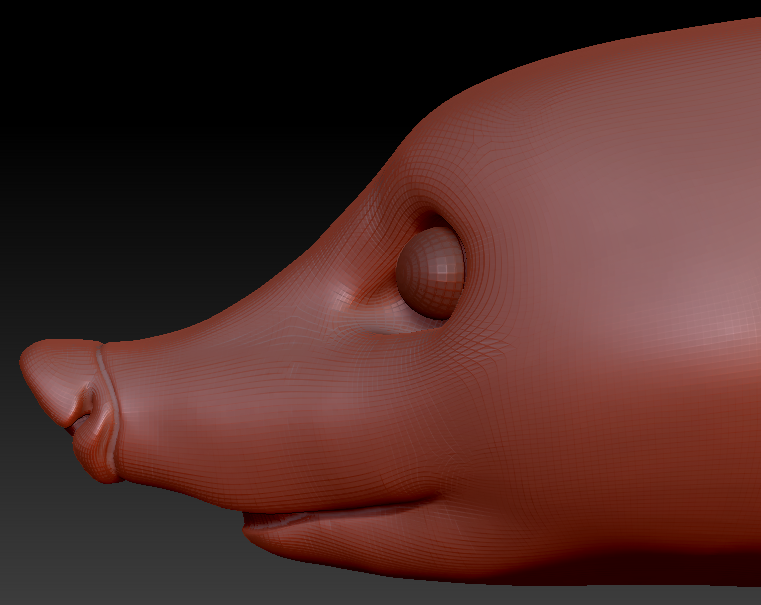 Realistic Coatimundi Static Jaw Head Base Variant 1