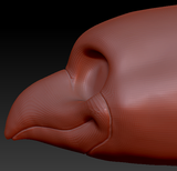 Feminine Toony Bird Head Base Variant 2