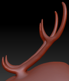 X-Large Horn Set 10