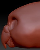 Gender Neutral Budgie Static Jaw Head Base