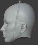 Head Sizer