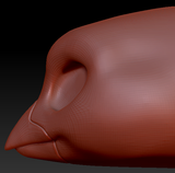 Western Kemono Sparrow Head Base
