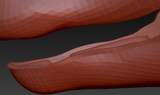 Large Herbivore Palate