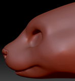 Gender Neutral Asian Small-clawed Otter Static Jaw Head Base Variant 1