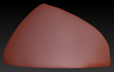 Small Horse Hoof Set