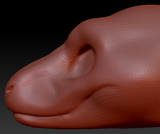 Gender Neutral Raptor Head Base