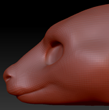 Gender Neutral Kangaroo Head Base