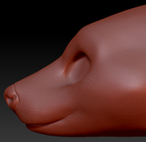 Gender Neutral Hyena Head Base