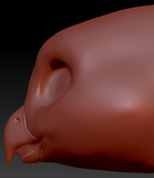 Gender Neutral Barn Owl Static Jaw Head Base