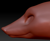 Feminine Armadillo Head Base