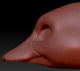 Gender Neutral Duck Head Base