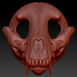 Small Canine Skull