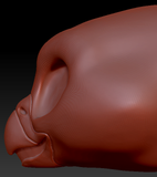 Western Kemono Gryphon/Eagle Static Jaw Head Base
