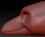 Gender Neutral Toony Bird Head Base Variant 6