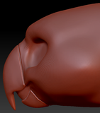 Western Kemono Macaw Parrot Static Jaw Head Base