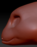 Feminine Electric Eel Head Base