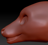 Gender Neutral Deer Static Jaw Head Base