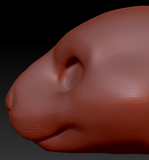 Gender Neutral Guinea Pig Head Base