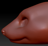Gender Neutral Weasel Head Base