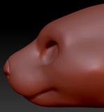 Gender Neutral Sea Otter Head Base