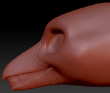 Feminine Raven Static Jaw Head Base
