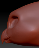 Feminine Barn Owl Static Jaw Head Base