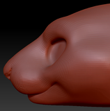 Feminine Squirrel Head Base