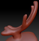 XX-Large Horn Set 11