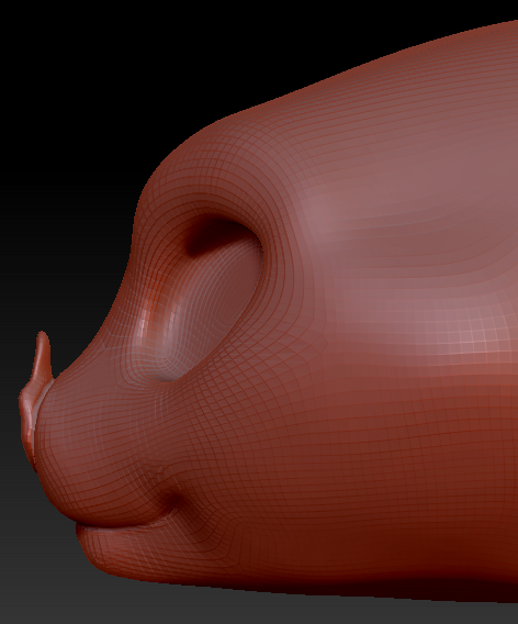 Western Kemono Leaf-nosed Bat Head Base