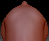 True Kemono Barn Owl Head Base
